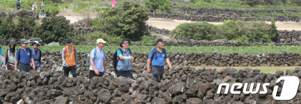 제주 밭담길 사이로
