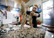 가을 대하 맛보러 오세요…안면도백사장대하축제 29일 개막  