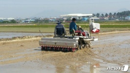 익산시농업기술센터, 무논점파 시범사업 평가회 개최