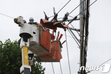 대구 읍내동 긴급복구 나선 한전