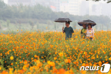 [오늘의 날씨] 부산·경남(21일, 금)