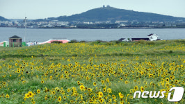 추석 연휴 선선한 바람 부는 제주에서 인생사진 남겨볼까