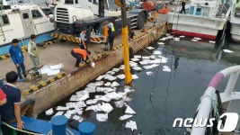 마산 권현망수협 앞 방파제서 통선 침몰…인명피해 없어