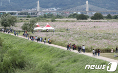 대구 금호강 하중도...깊어가는 가을
