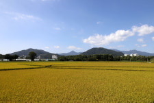 이 가을이 가는 게 아쉽다면 걷자…아름다운 길 7곳