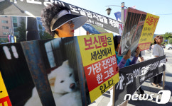 저를 살려 주세요
