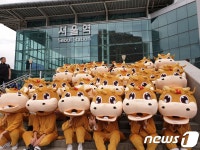 횡성 먹거리, 한우·안흥찐빵축제 10월 잇따라 개막