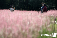 울산대공원 핑크뮬리를 배경으로 찰칵