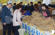 홍천 인삼 건강에 좋다구요