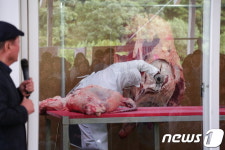 횡성한우 이렇게 발골합니다