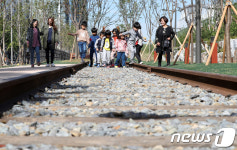 경의선 선형의 숲에서 추억 남기기