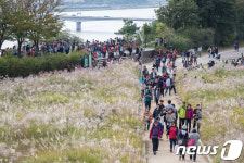 한글날 맞아 하늘공원 찾은 시민들