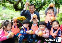 중랑구, 어린이집 원아들과 ‘황실배 수확’행사