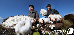 천연목화솜으로 추운 날씨 대비하세요