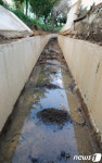 국립종자원 서부지원 배수로에 고여있는 유출된 경유 