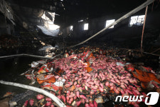 아수라장으로 변한 대구 번개시장