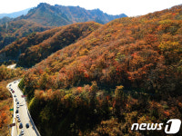 한계령 굽이굽이 단풍 절정