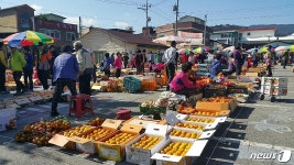 이순신 장군도 맛 본 구례 감 직거래 장터 운영