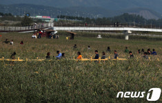 Foto hasil pencarian Naver 3