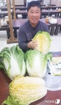 괴산군영농회, 기능성 ‘황금배추’ 판매…11월 개시