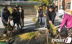 전북지역 초등학교 스쿨팜서 벼 수확…3천명 참여
