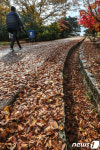 산책로에 쌓인 가을낙엽