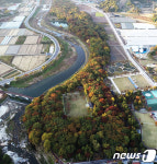 하늘에서 본 상림의 가을