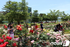 영동 노근리평화공원 ‘명예국제평화정원’ 선정