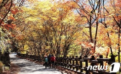 막바지 단풍축제...지리산 피아골로 오세요