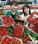 햇딸기 맛보세요