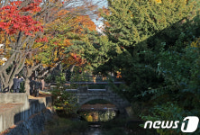 용산기지의 아름다운 자연유산 만초전