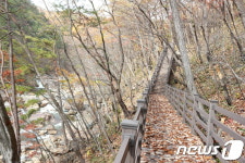 지리산 대원사계곡~유평마을 3.5km 생태탐방로 15일 개통 