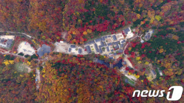 단풍에 물든 내장산 국립공원