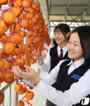 학교 조회대 매달린 곶감