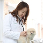 3살 이하 반려견은 소화기, 4살 이상은 피부질환 주의