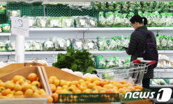 전주 대형마트, 전북 농축산물 판매 외면…비중 13.4% 추정