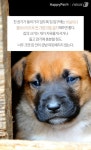 [펫카드] 털 있는 개는 추위를 모른다?