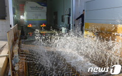 거점소독시설 차량방역 시연하는 방역관계자들 
