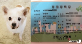 [펫톡톡] 고맙고 사랑해… 국내 최장수견 하늘로