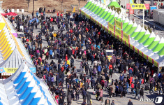 추위에도 북적이는 파주장단콩축제