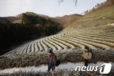 의성 수리시설·보성 전통차 등 국가중요농업유산 지정