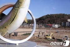 금 111돈 황금송어를 잡아라…평창송어축제 준비 착착