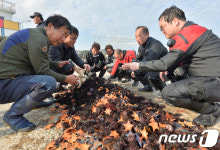 이것들이 우리 어장을 고사시켰다니...
