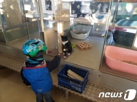 [르포]입양률 95%…오갈 곳 없는 동물들의 천국 獨 티어하임 가보니