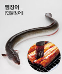 고창 풍천장어 안심하고 드셔도 됩니다