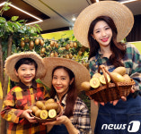 맛있는 제주 골드키위가 왔습니다 