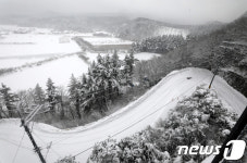 Naver 搜索结果照片 6