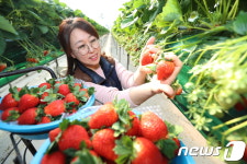 달콤한 아리향 드세요