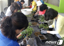 [양구소식] DMZ 생태 아카테미 성료…5회 137명 참여