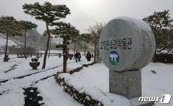 폭설로 하얗게 변한 고창